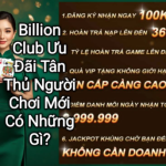 Billion Club Cộng Đồng Người Chơi Hoạt Động Ra Sao?